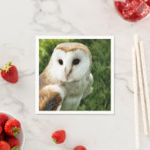 フール スタンダードカクテルナプキン (インサイチュ)