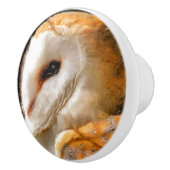 フール セラミックノブ (右)