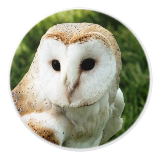 フール セラミックノブ (正面)