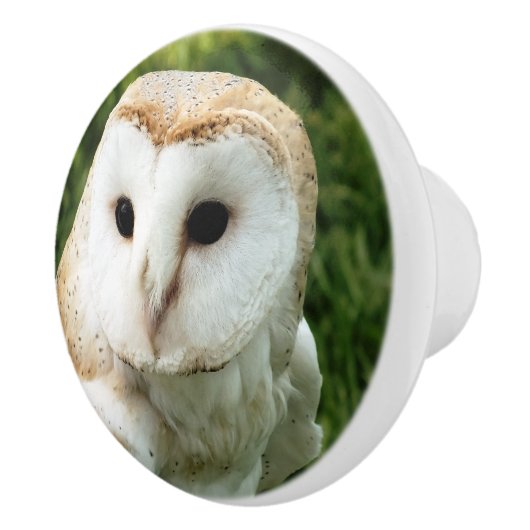 フール セラミックノブ (右)