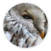 フール セラミックノブ (正面)