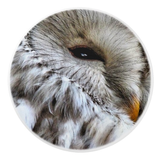 フール セラミックノブ (正面)