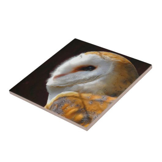 フール タイル (側面)