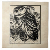 フール タイル (正面)