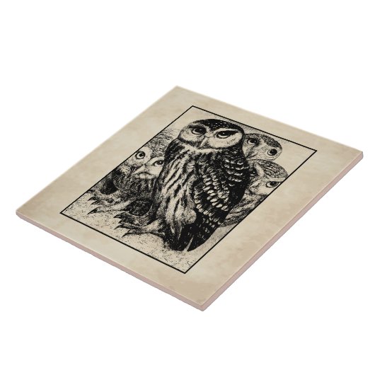 フール タイル (側面)