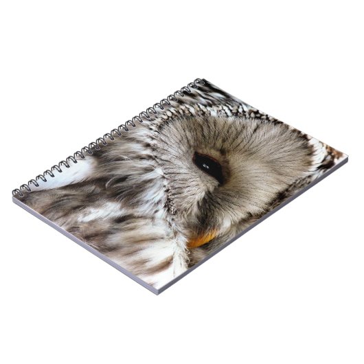 フール ノートブック (左側)