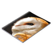 フール ノートブック (左側)