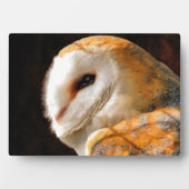 フール フォトプラーク (正面)