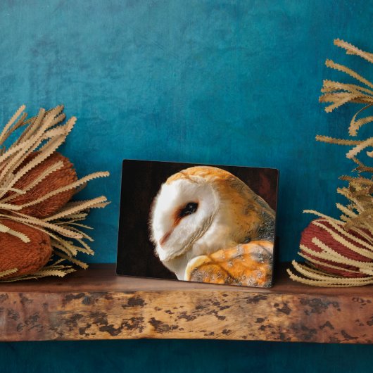 フール フォトプラーク (側面)