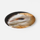 フール ペーパープレート (アングル)