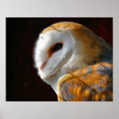 フール ポスター (正面)