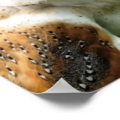 フール ポスター (角)