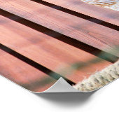 フール ポスター (角)