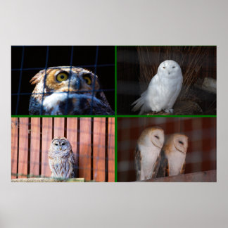 フール ポスター