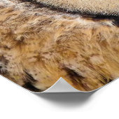 フール ポスター (角)