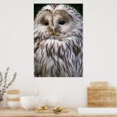 フール ポスター (キッチン)