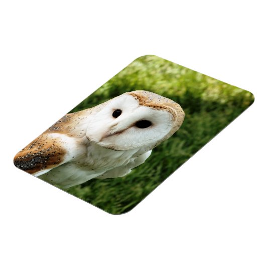 フール マグネット (左側)