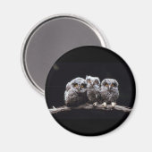 フール マグネット (正面/裏面)