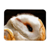 フール マグネット (横)