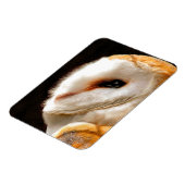 フール マグネット (左側)