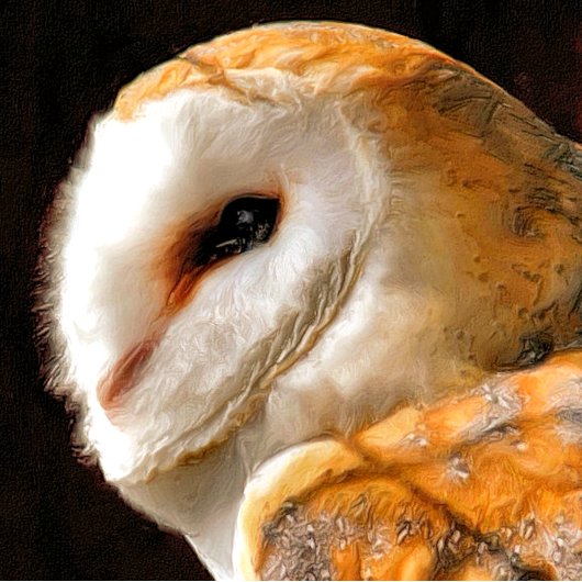 フール マグネット