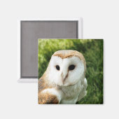 フール マグネット (正面/裏面)