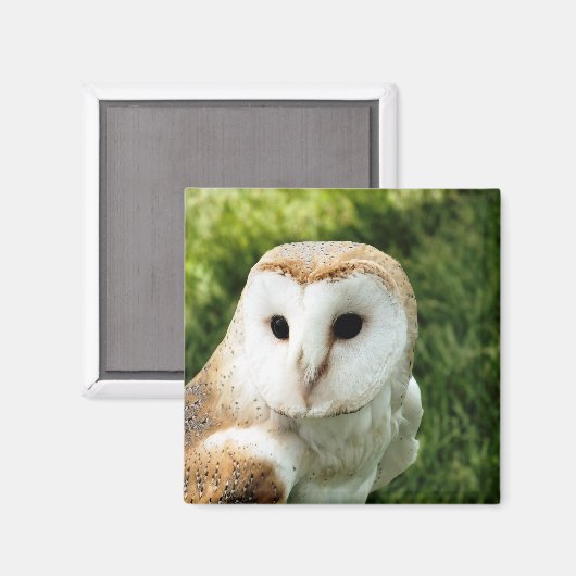 フール マグネット (正面/裏面)