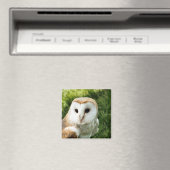 フール マグネット (インサイチュ (食洗機))