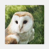 フール マグネット (正面)