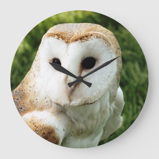 フール ラージ壁時計 (正面)