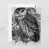 フール、ヴィンテージ版木、銅版、版画 ポストカード (正面/裏面)