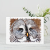 フール 招待状 (スタンド正面)