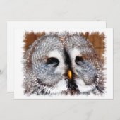 フール 招待状 (正面/裏面)