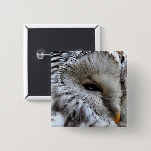 フール 缶バッジ (正面&裏面)