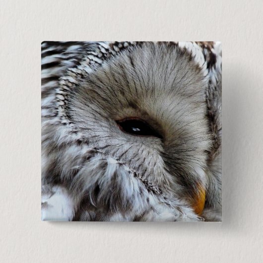 フール 缶バッジ (正面)