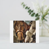 フ最高のレンズ ポストカード (スタンド正面)