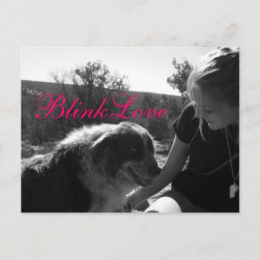 フ最高のレンドフィンポストカード ポストカード (正面)