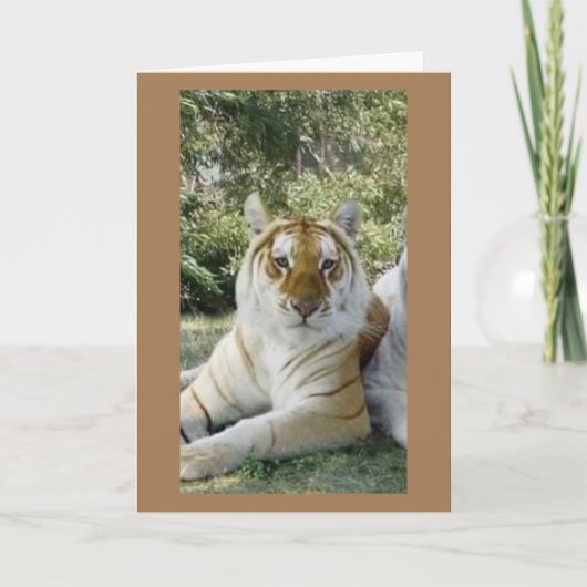 **フ最高のレンド**誕生日のお願い カード (正面)