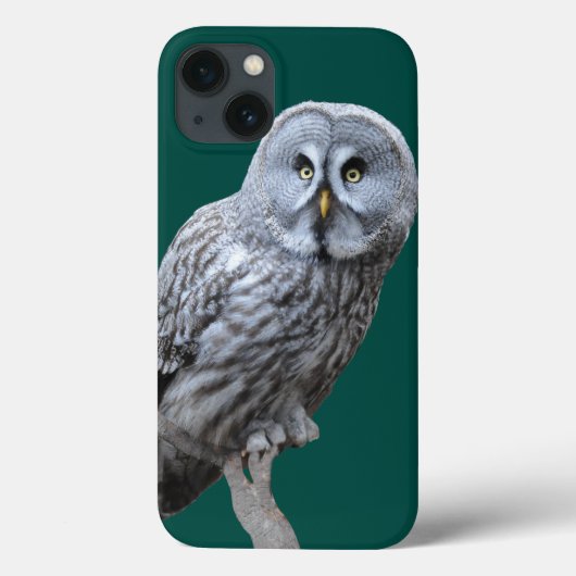 フ素晴らしクロウ Case-Mate iPhoneケース (裏面)