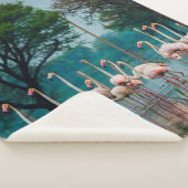 フ素晴らしラミンゴは自然に生息する。自然人 シェルパブランケット (3/4)