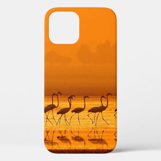 フ素晴らしラミンゴ歩く  Case-Mate iPhoneケース (裏面)