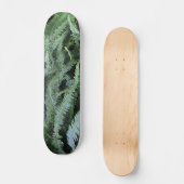 フ飛んでいるァンで スケートボード (正面)