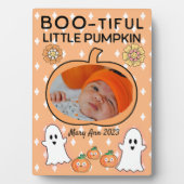 ブイかぼちゃ フォトプラーク (正面)