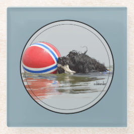 ブイの球を持つポルトガル水犬 ガラスコースター