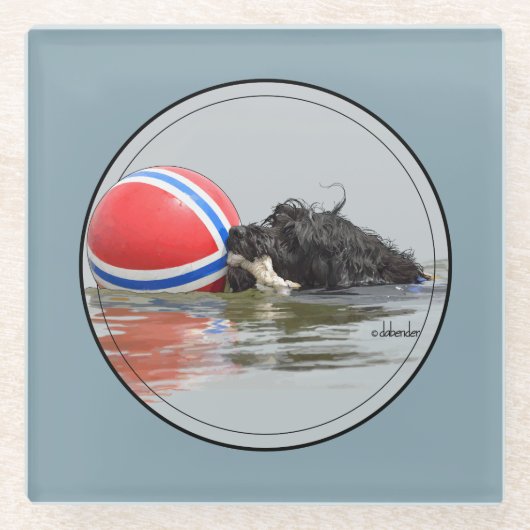 ブイの球を持つポルトガル水犬 ガラスコースター (正面)