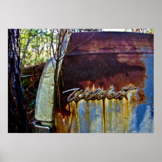 ブイック・ワイルドキャット ポスター