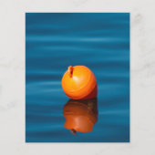 ブイ チラシ (正面)