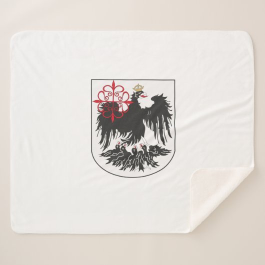 ブエノスアイレス国旗(アルゼンチン) シェルパブランケット (正面(横))