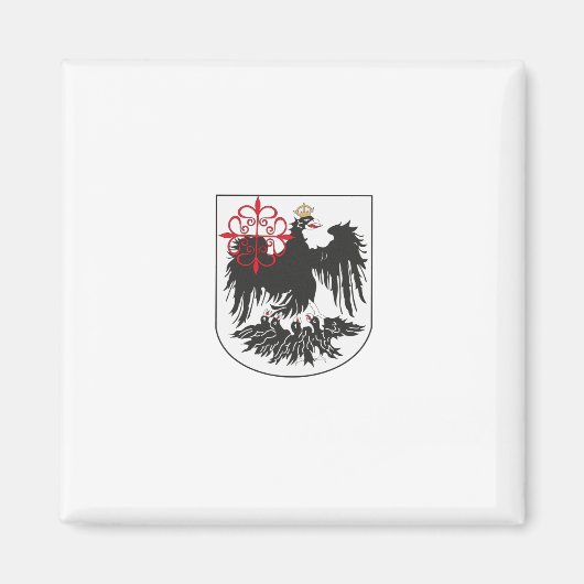 ブエノスアイレス国旗（アルゼンチン） マグネット (正面)