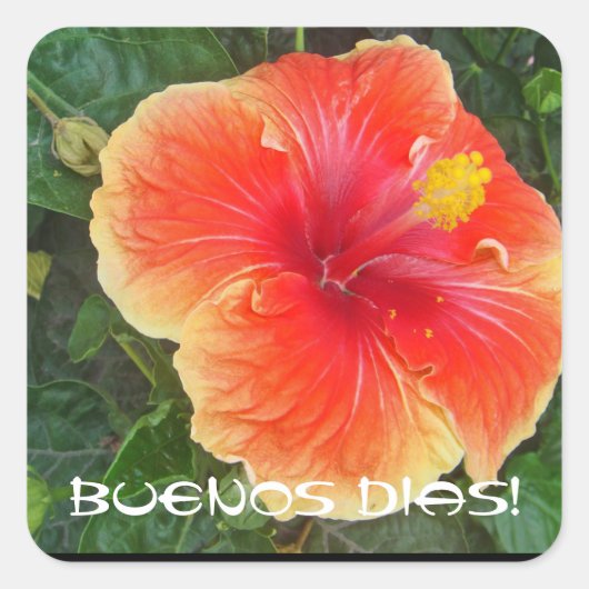 ブエノスディアス スクエアシール (正面)